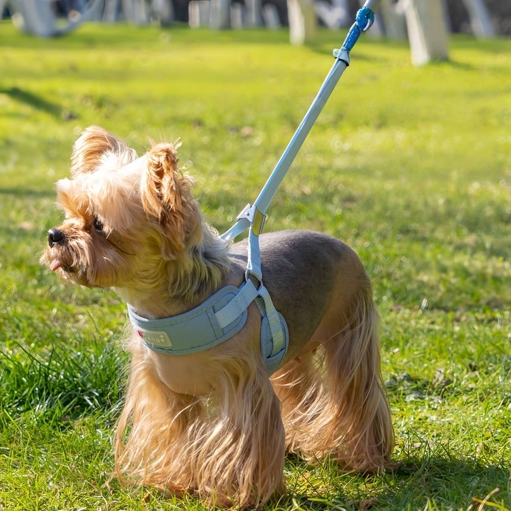 IntiMeg - Harnais pour petit chien M IntiMeg - Image 7