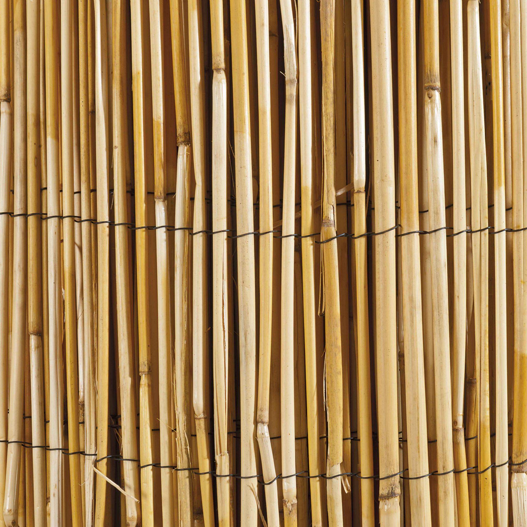 Canisse en roseau naturel WERKA PRO - 1 x 10 m - Image 2