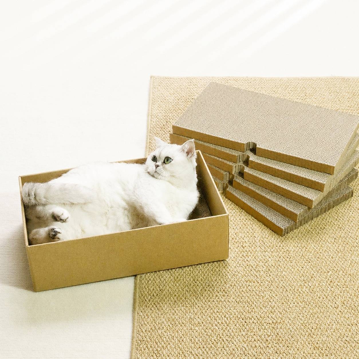 Lot de 5 Grattoirs pour Chats en Papier Ondulé Réversible Anti Dérapant - Image 5
