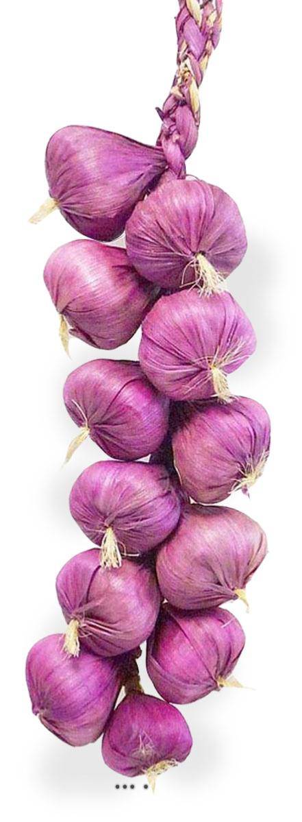 Artificielles - Tresse d'ail artificielle x10 têtes d'ail violet L 50 cm - Imagen 1
