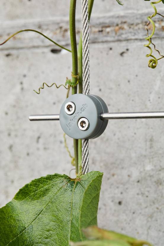 Autre - Greenkit 1 Support plantes grimpantes treillis acier inoxydable 100 X 2000mm Jakob Rope Systems - Image 5