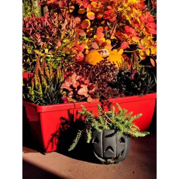 Riss - Bac A Fleurs Riviera Eva - Lot 2 Jardinieres - Plastique - 57 Cm - Rouge - Imagen 3
