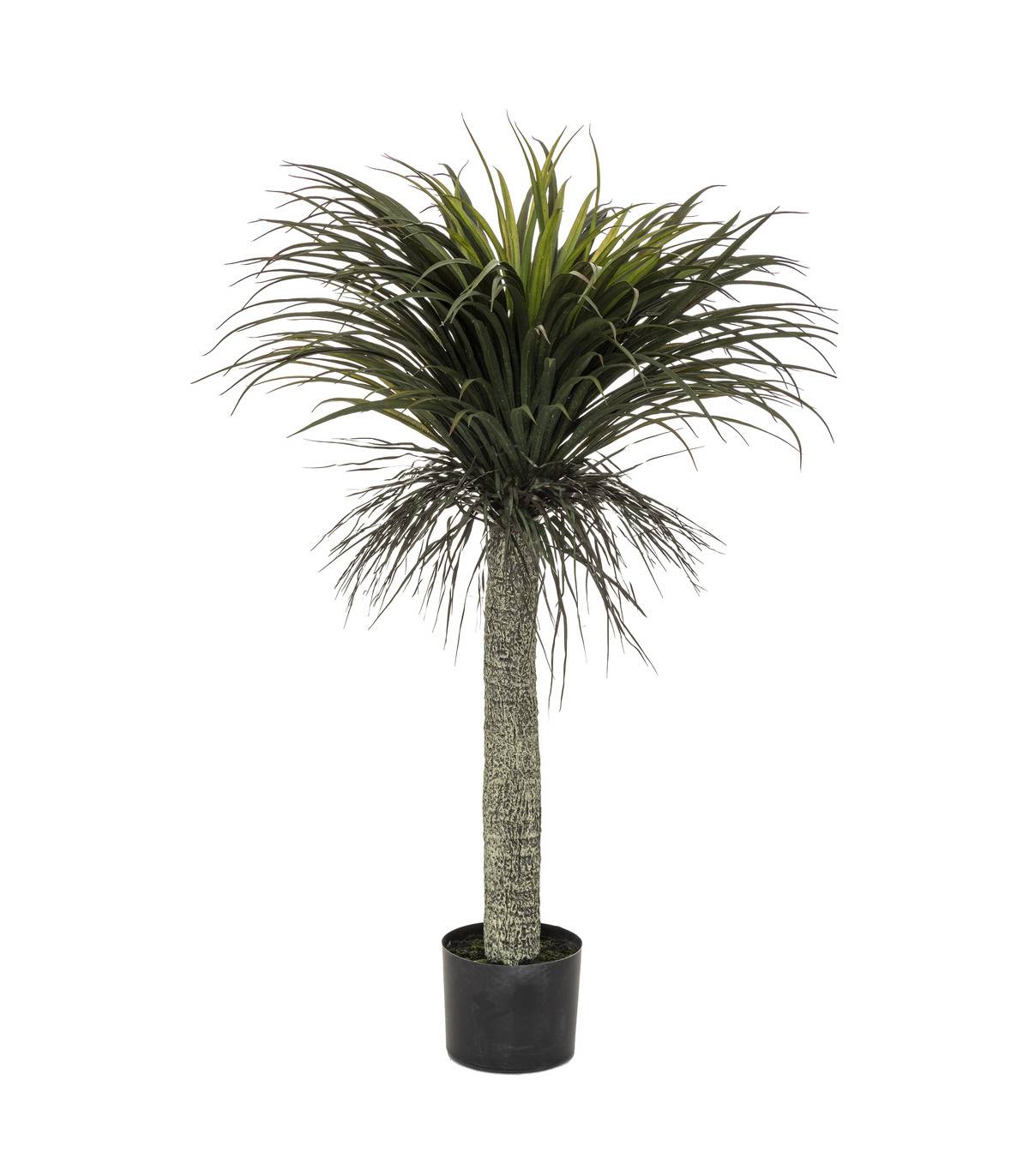 Plante artificielle Yucca en pot H 150 cm - Image 1