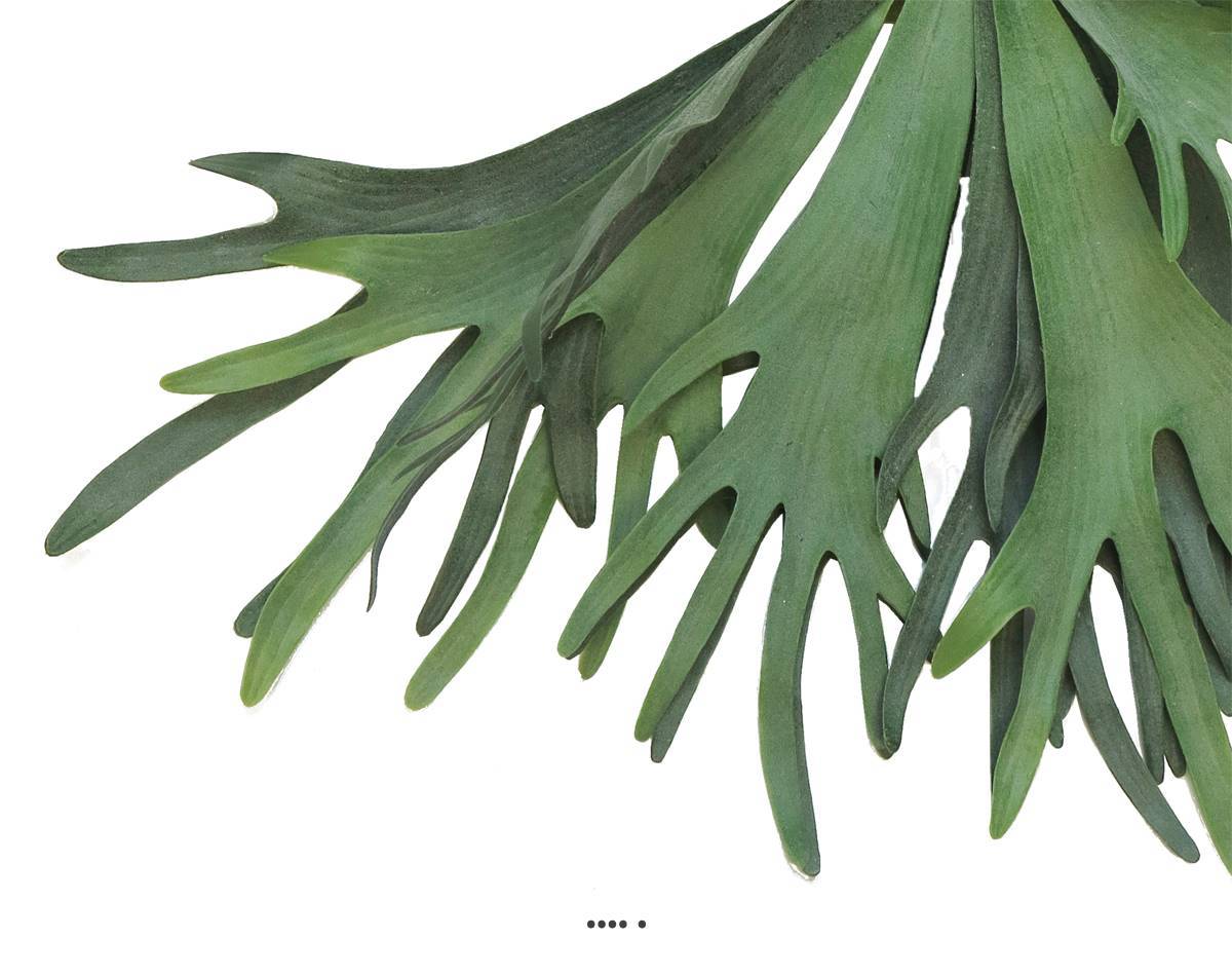 Artificielles - Fougère Platycerium factice socle imitation mousse H60cm D90cm -BEST - dimhaut: H 60 cm - couleur: Vert - Imagen 3