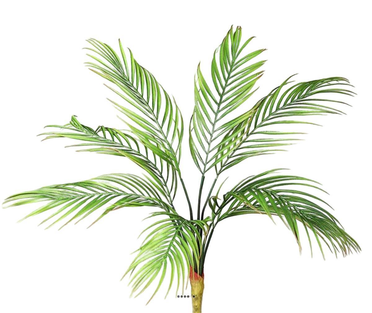 Artificielles - Piquet de 8 feuilles de Palmier Phoenix artificielles H 65 cm D 60 cm - Imagen 2
