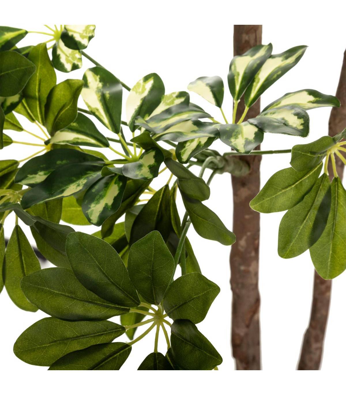 Plante artificielle Schefflera en pot  H 135 cm - Image 2
