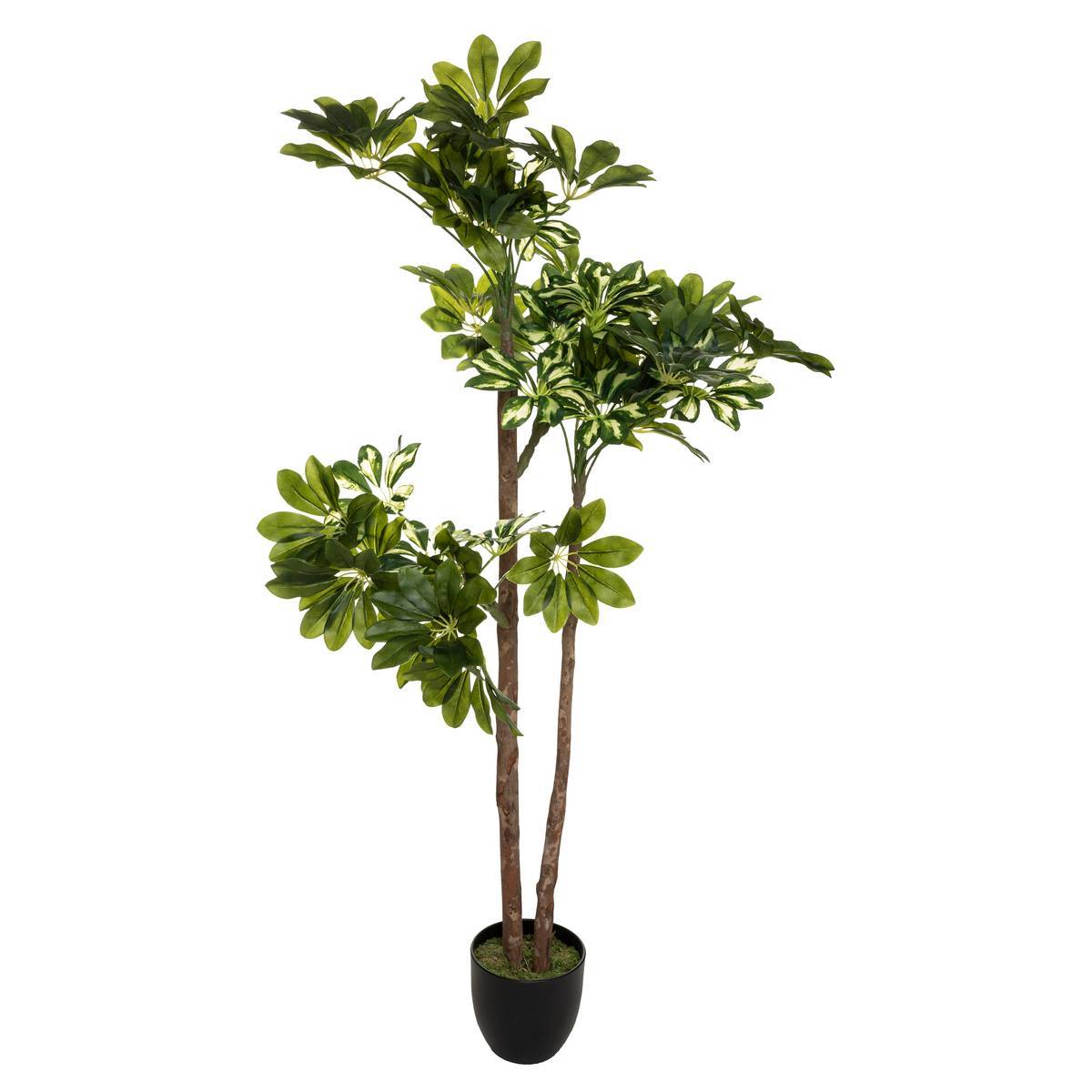 Atmosphera - Schefflera artificiel H130cm - Atmosphera Créateur d'intérieur - Imagen 1