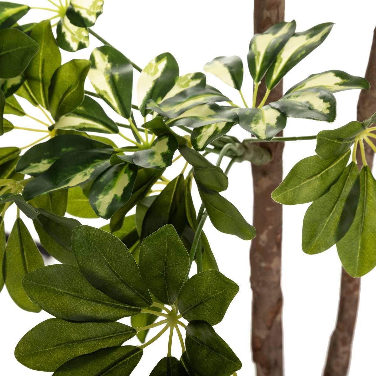 Atmosphera - Schefflera artificiel H130cm - Atmosphera Créateur d'intérieur - Imagen 2