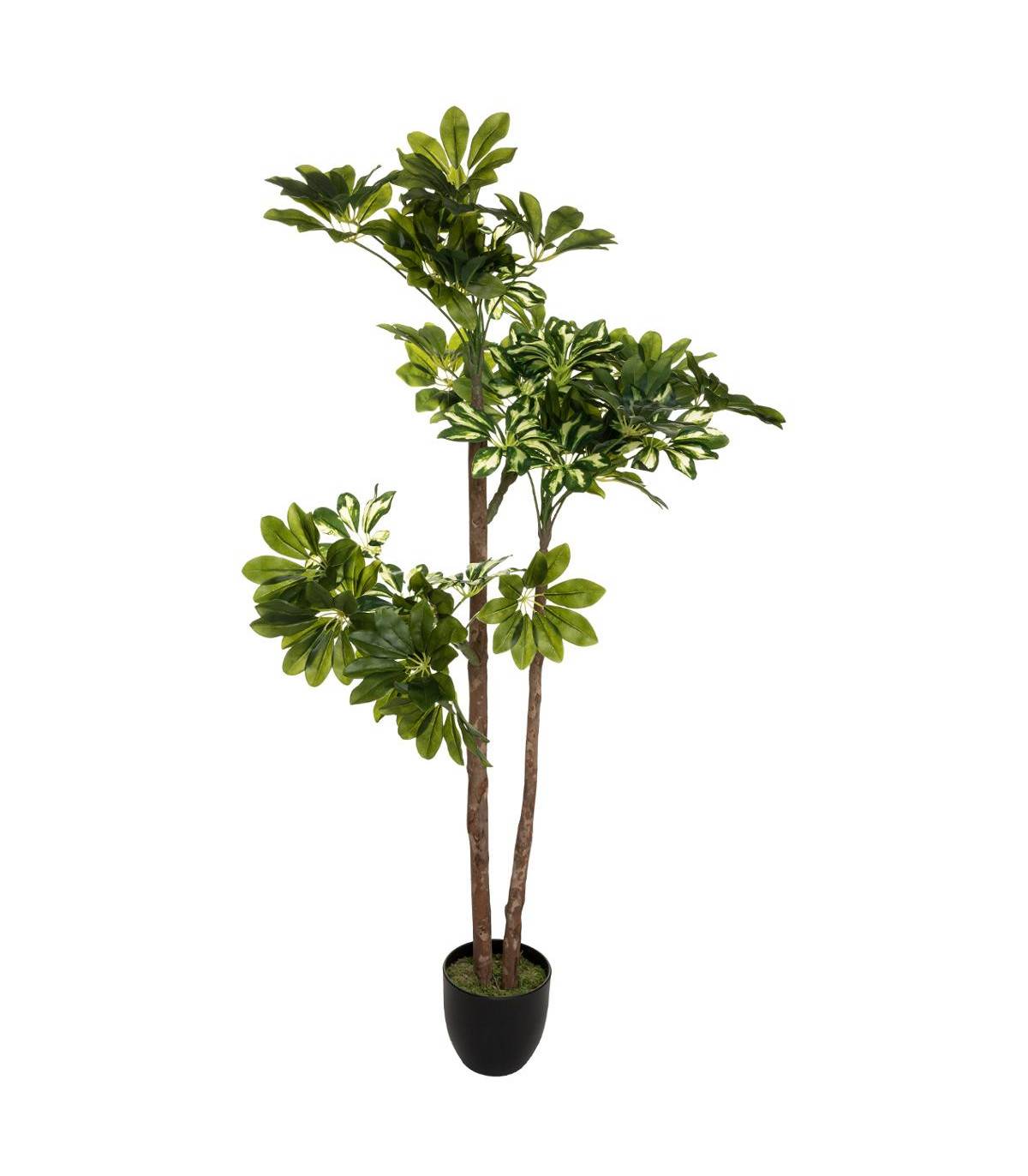 Plante artificielle Schefflera en pot  H 135 cm - Image 1