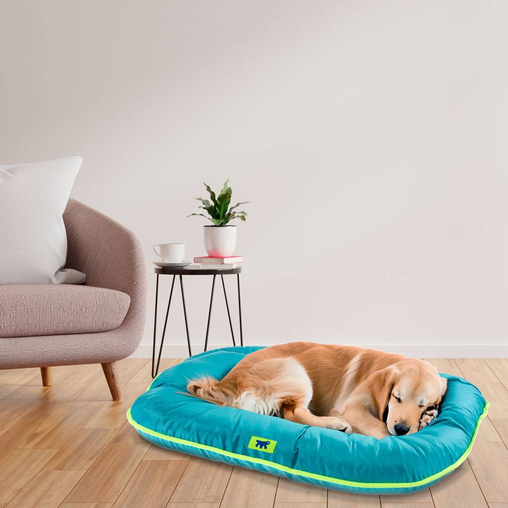 Ferplast - Ferplast Panier Chien Coussin Chien Grande Taille Tissu anti-rayures Lavable à 30°C.Matelas pour chien imperméable 100 x 70 x 12 cm.Bleu - Imagen 3