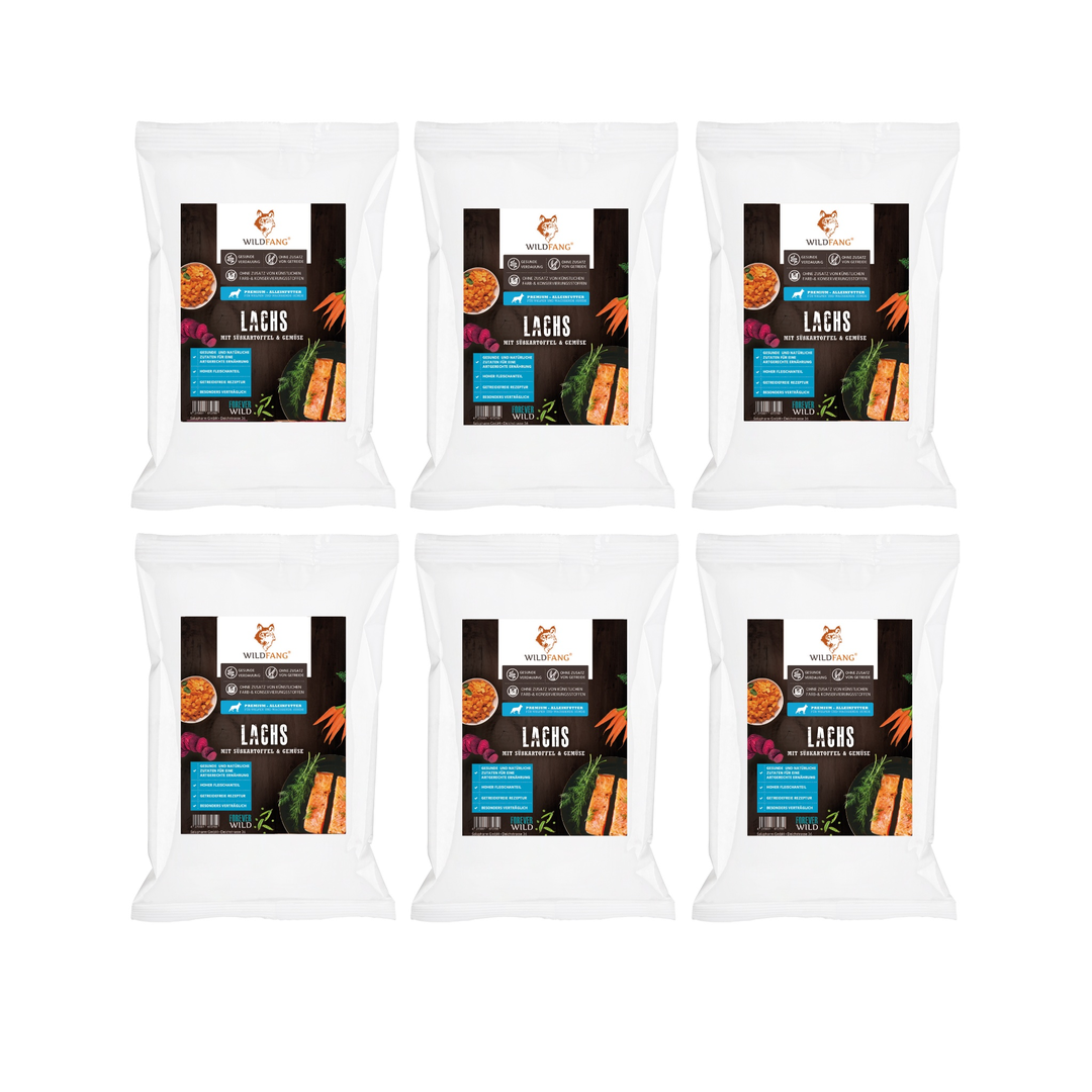 Wildfang - Wildfang Croquettes Chiot Sans Céréales – Viande de Haute Qualité, Formule Douce, Alimentation Sèche (Origine CEE)