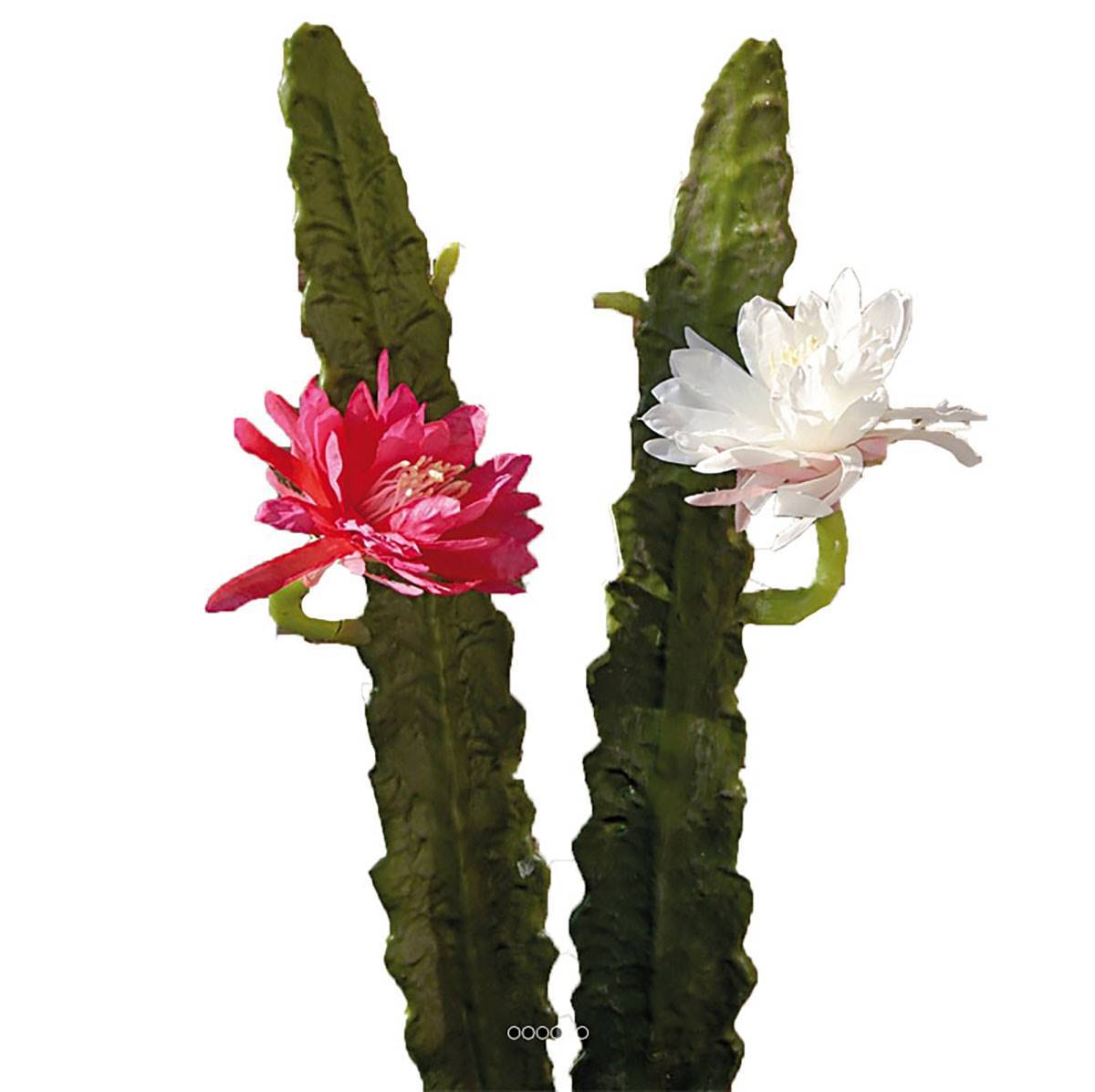 Artificielles - Joli cactus cierge artificiel en piquet H 52 cm avec sa fleur Rose fushia - couleur: Rose fushia 730 - Imagen 1