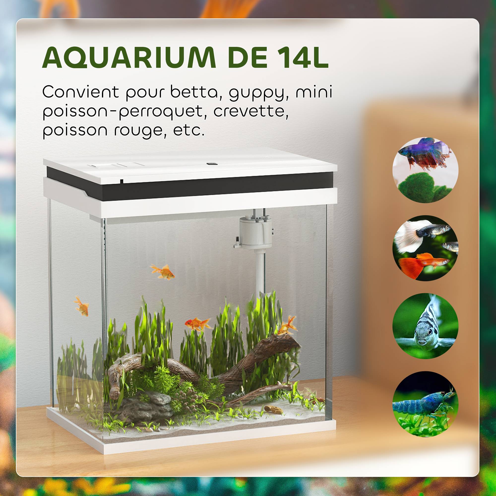Aquarium complet verre tropical 14L pompe filtration éclairage LED 30x20x33cm blanc - ComfortXL Outdoor Living - Image 7