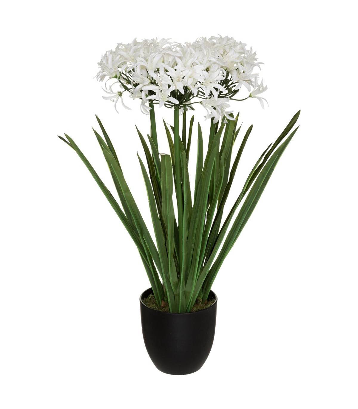 Plante artificielle Agapanthe en pot  H 66 cm - Imagen 1