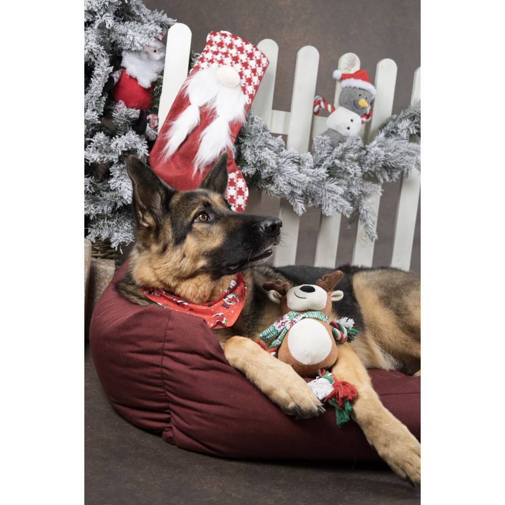 Flamingo - Caribou Vicente Brun 35 cm jeux Noel pour chien - Image 3