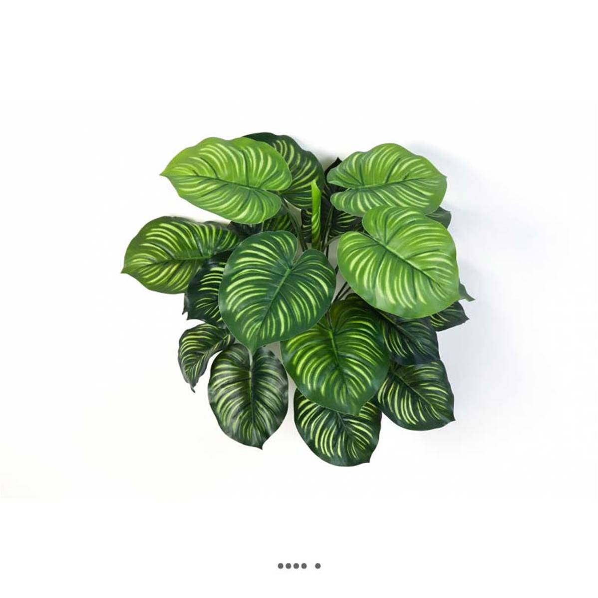 Artificielles - Calathea artificiel en piquet 22 feuilles, H 45 cm Vert - Imagen 2