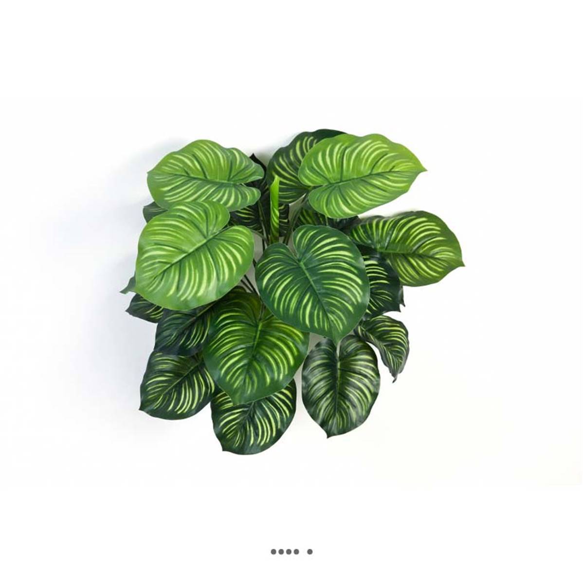 Artificielles - Calathea artificiel en piquet 22 feuilles, H 45 cm Vert - Imagen 1