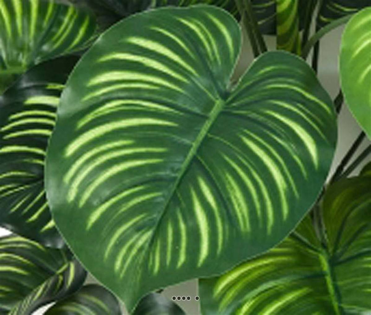 Artificielles - Calathea artificiel en piquet 22 feuilles, H 45 cm Vert - Imagen 3
