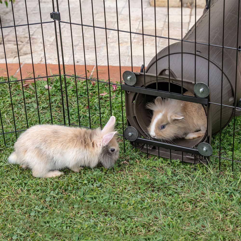 Ferplast - Ferplast Enclos Lapin FREERUN MEDIUM, Lapins, Cochon d'Inde, Cloture, Enclos pour Lapins, Animaux Domestiques, Diamètre 140 x 76,5 cm, avec Poignées - Imagen 4