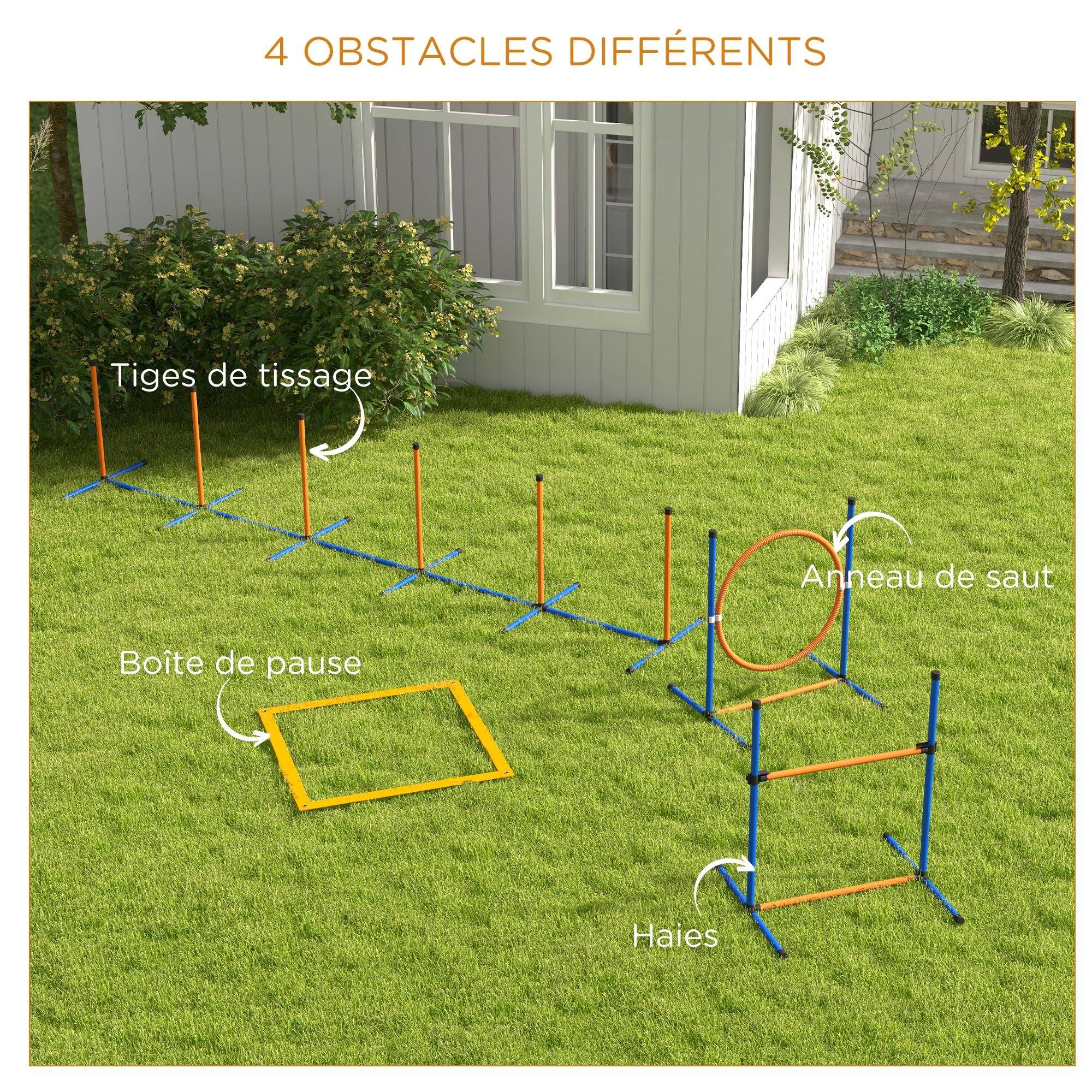 Kit d'agilité pour chien plastique multicolore 352 x 66 x 69 cm - PANGIVO - Image 7
