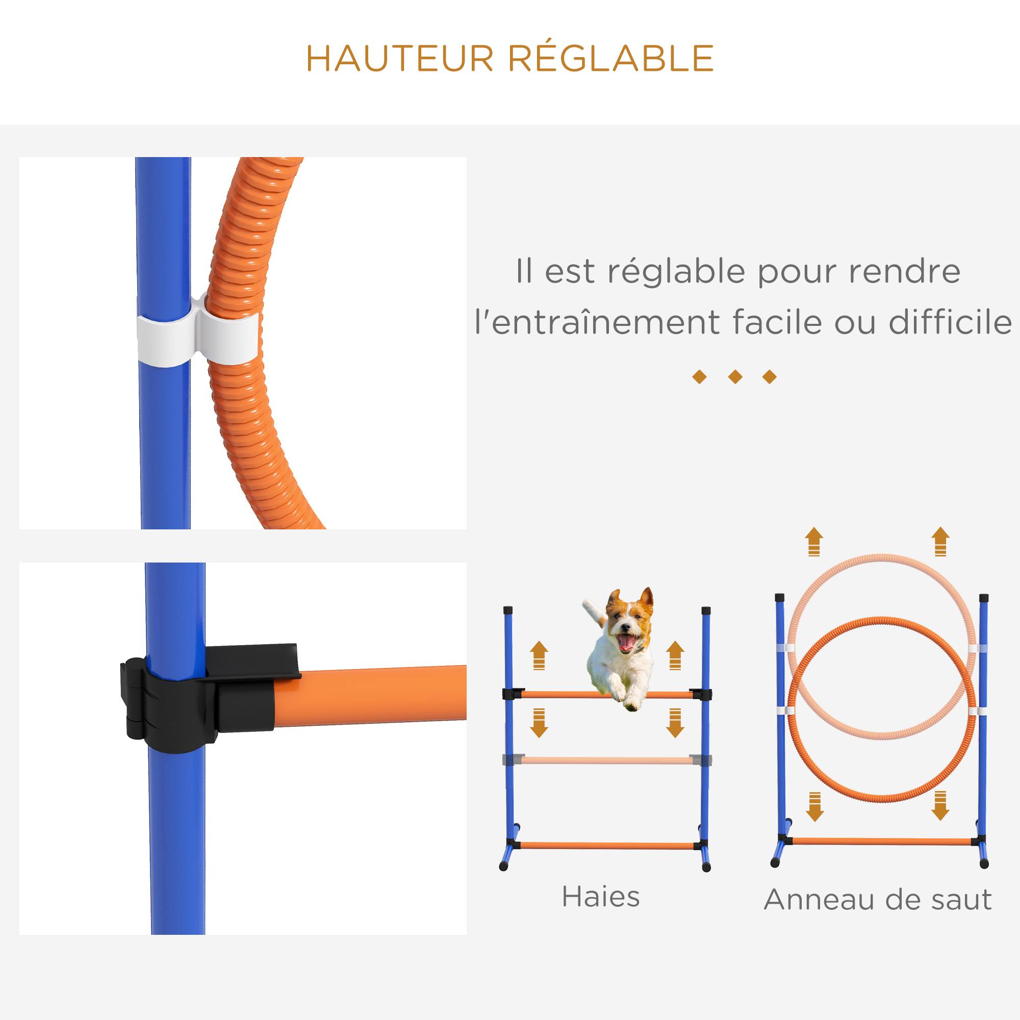 Kit d'agilité pour chien plastique multicolore 352 x 66 x 69 cm - PANGIVO - Image 6