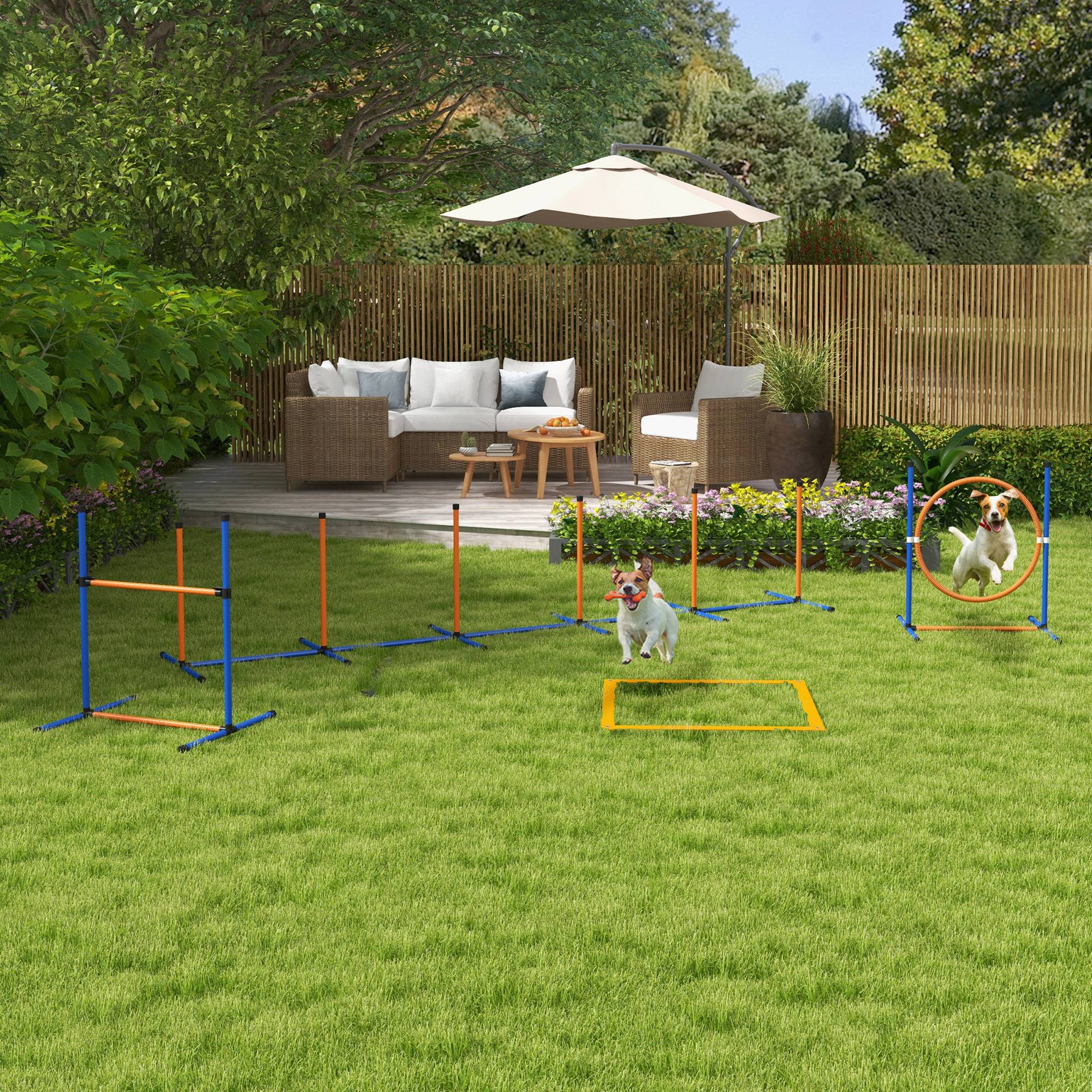 Kit d'agilité pour chien plastique multicolore 352 x 66 x 69 cm - PANGIVO - Image 4