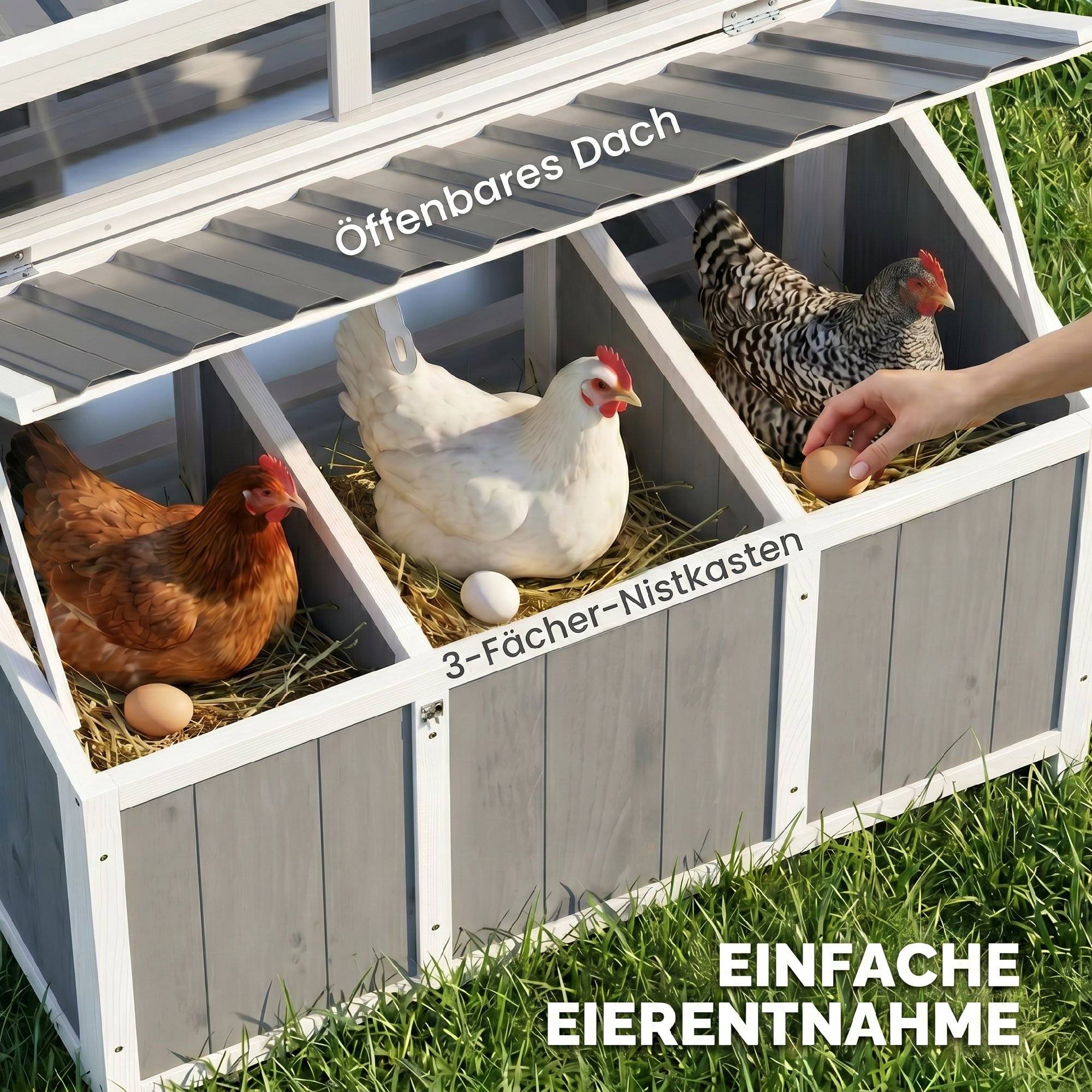 Poulailler avec pondoir bois gris 145 x 90 x 92 cm - PANGIVO - Image 9