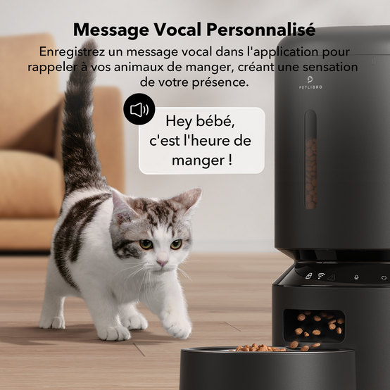 Petlibro Granary Distributeur de croquettes automatique WiFi Noir - Image 4