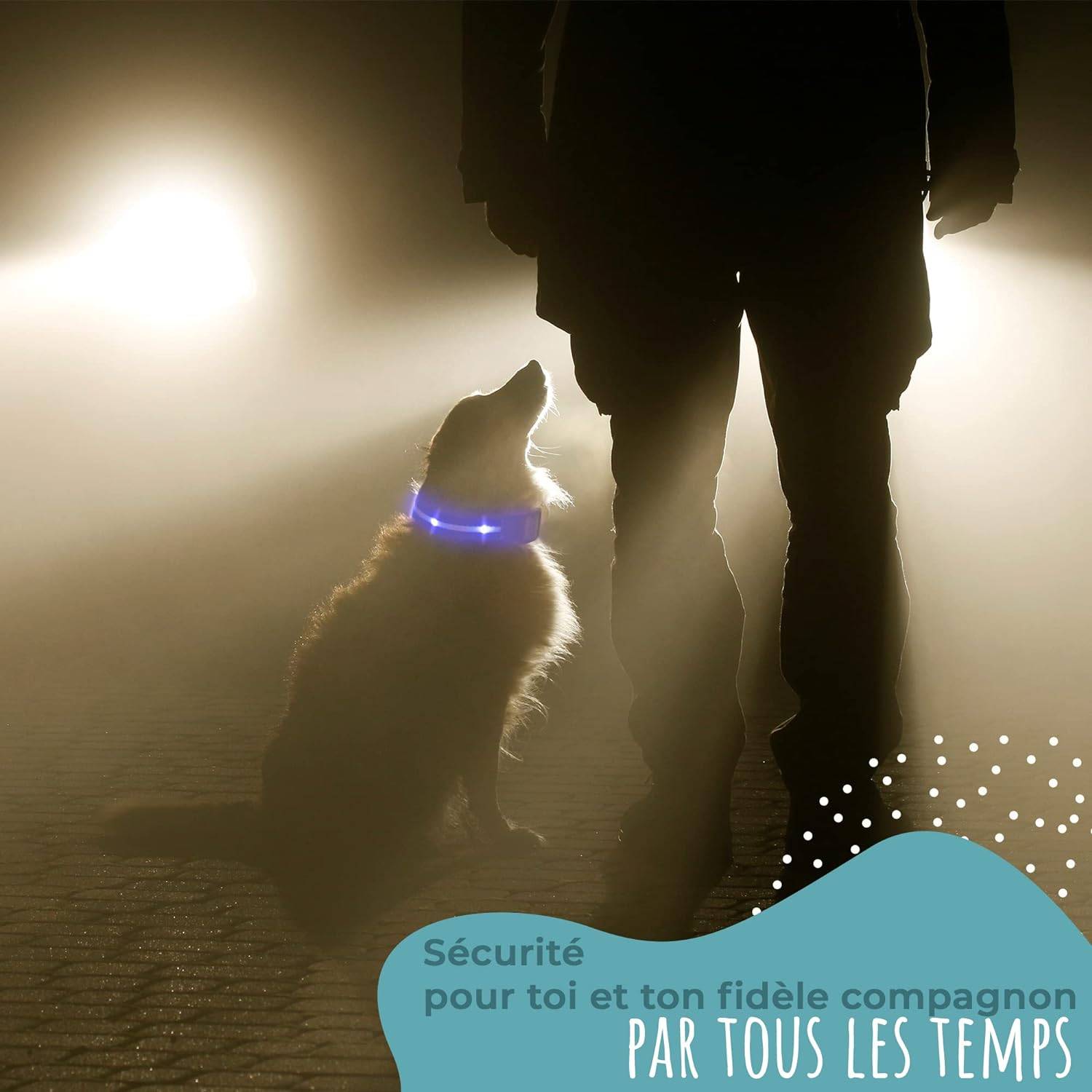 Bi International - Collier Lumineux pour Chien - Rechargeable par USB - Nylon renforcé - Haute Qualité, Stabilité & Sécurité (rosé, L) – BI International - Imagen 5