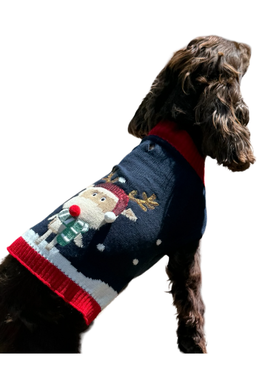 Pull noel brode renne-pour chien- deguisement tricote taille L - Mon Ami Luki - Image 4