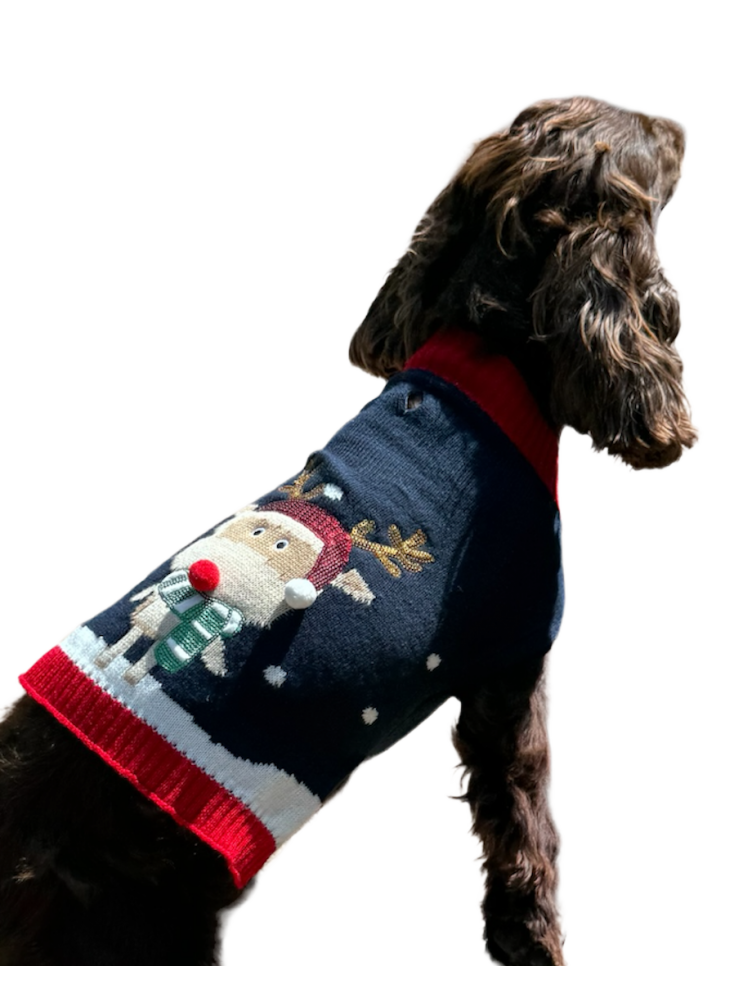 Pull noel brode renne-pour chien- deguisement tricote  taille L - Mon Ami Luki - Image 4