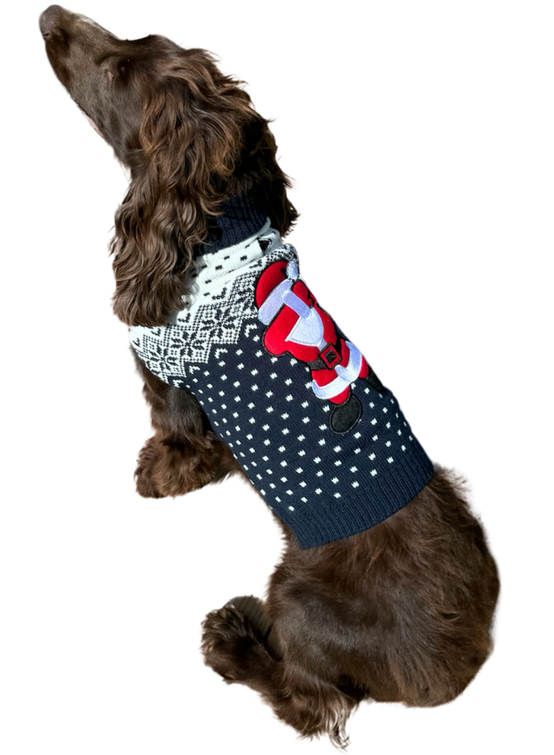 Pull noel brode renne-pour chien- deguisement tricote taille L - Mon Ami Luki - Image 3