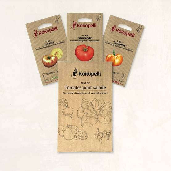 Tomates pour salade - 3 sachets de graines bio à semer - Image 2