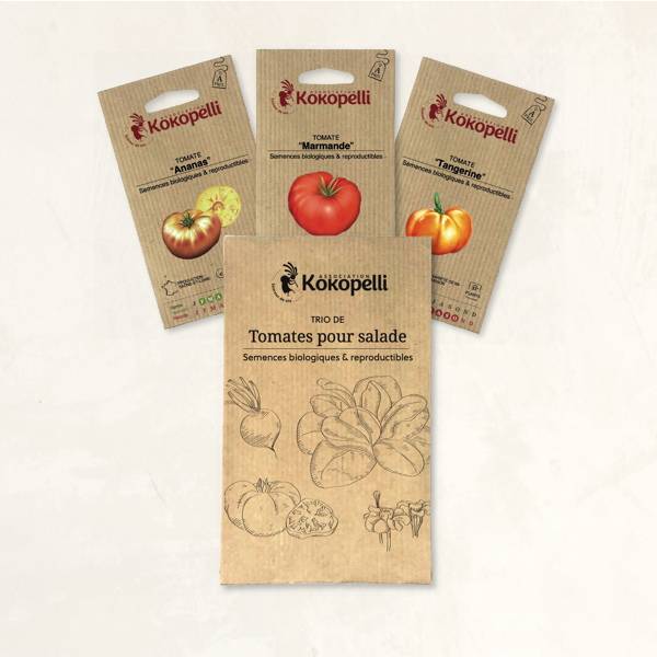 Tomates pour salade - 3 sachets de graines bio à semer - Imagen 2