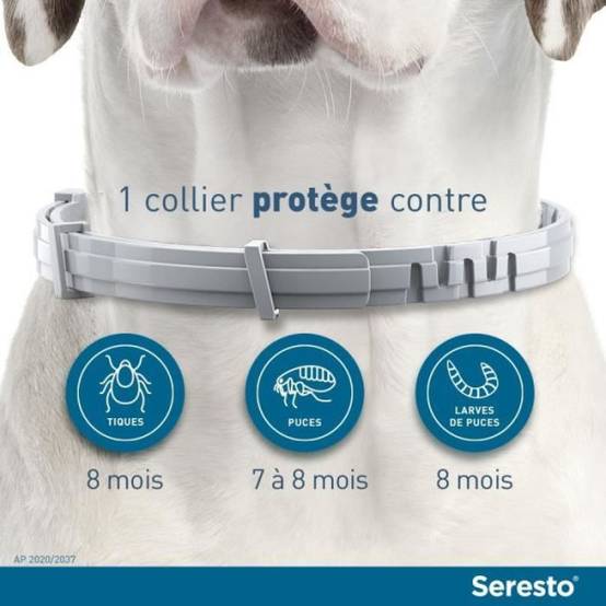 Seresto - SERESTO Chien Collier Anti-Puces et Anti-Tiques +8kg 1 unité - Image 2