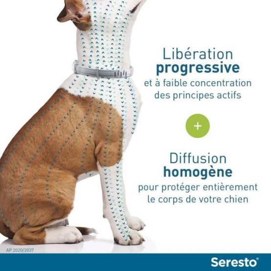 Seresto - SERESTO Chien Collier Anti-Puces et Anti-Tiques +8kg 1 unité - Image 3