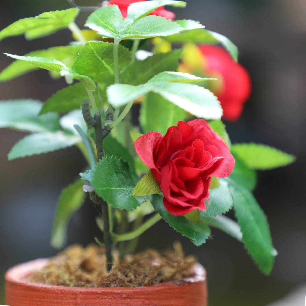~Rosier plante fleur artificielle extérieur cimetière tissu rouge 12cm Chemin de campagne - Imagen 6