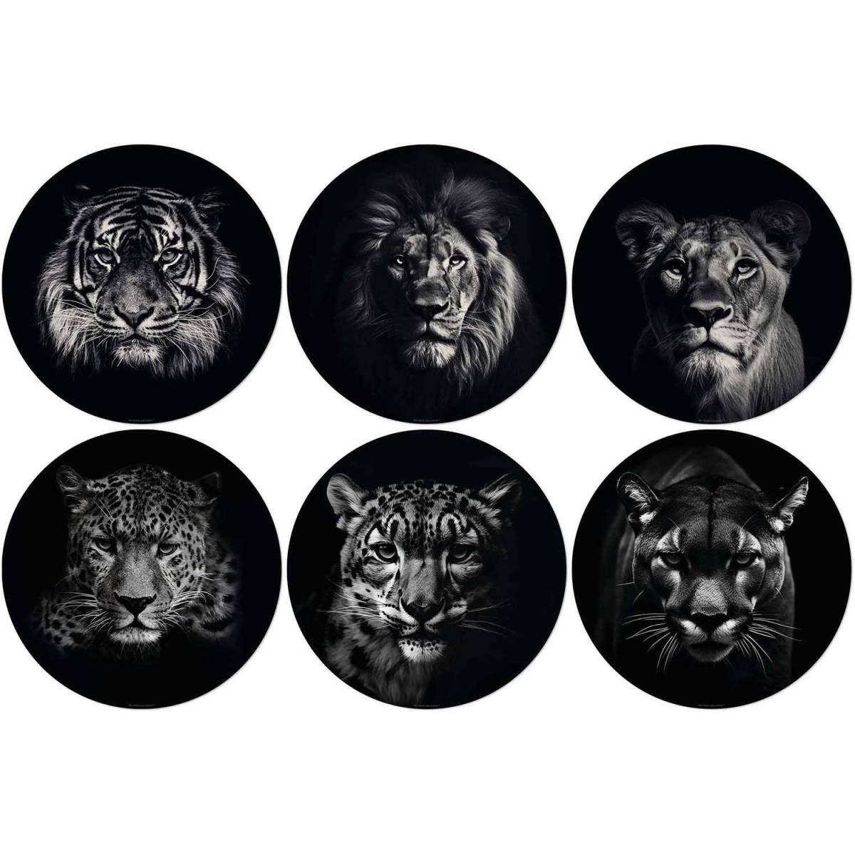 Set de table en vinyle 38 cm King & Queen Lot de 6 sets de table motifs assortis - Imagen 1