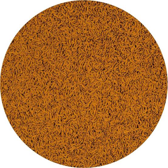 Tetra - Goldfish Wave Sticks 34 g -100 ml Aliment complet pour les poissons rouge - Image 2