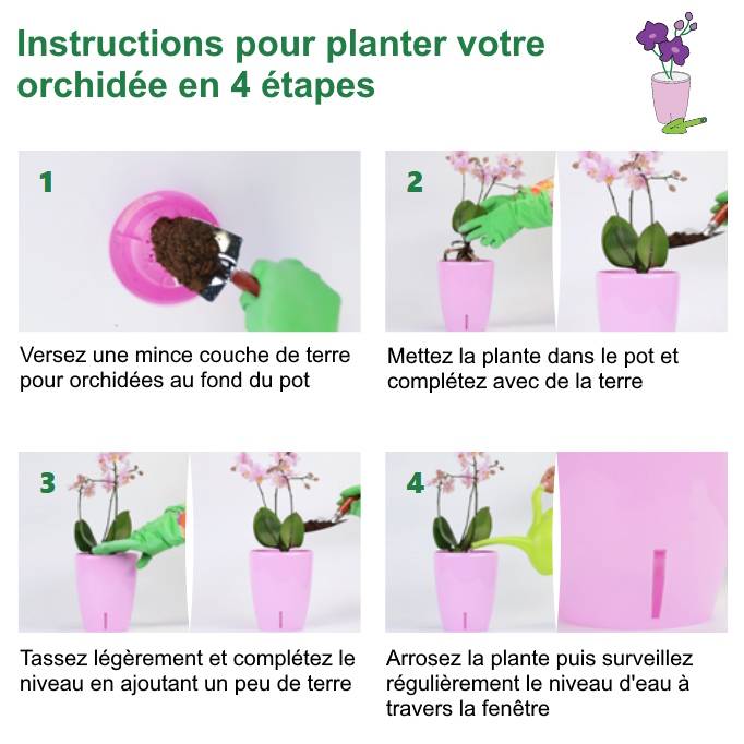 Gt Garden - Lot de 3 pots pour orchidées avec réserve d'eau - Dali-dea pourpre 2 litres - GT GARDEN - Imagen 4