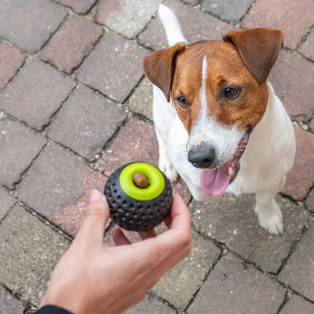 Ferplast - Ferplast Jouet Chien, Distributeur croquettes, en Matériau Durable, Non Toxique, Résistante aux Morsures, Rebondissant et Flottant, CHEWA BOING Balle - Imagen 5