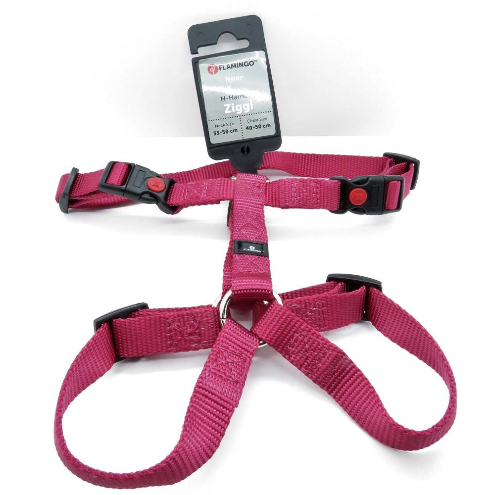 Harnais H Ziggi S/M  tour de cou 35 -50 cm 15 MM rouge cerise pour chien - Image 2