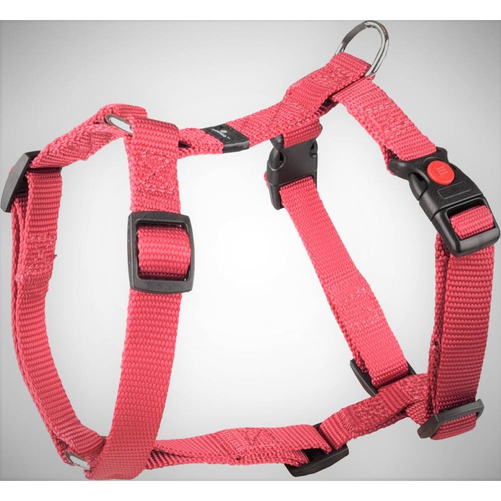Harnais H Ziggi S/M  tour de cou 35 -50 cm 15 MM rouge cerise pour chien - Image 5