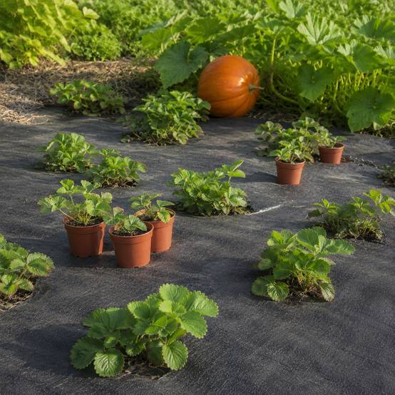 24 m² tissu de sol, bâche anti-mauvaises herbes, bâche de paillage 100 g, 2 m de large, noir - Image 7