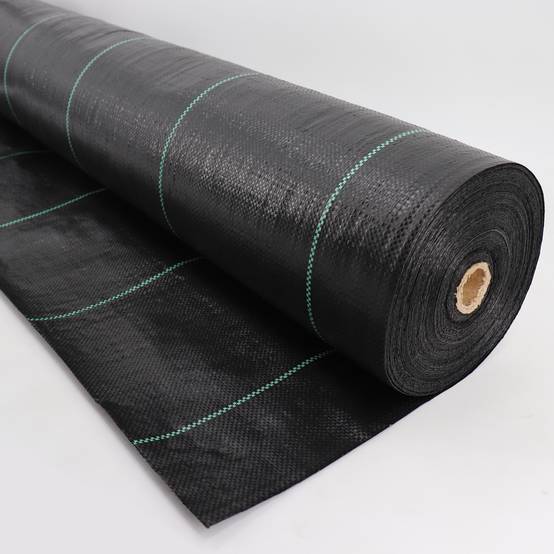 24 m² tissu de sol, bâche anti-mauvaises herbes, bâche de paillage 100 g, 2 m de large, noir - Image 3