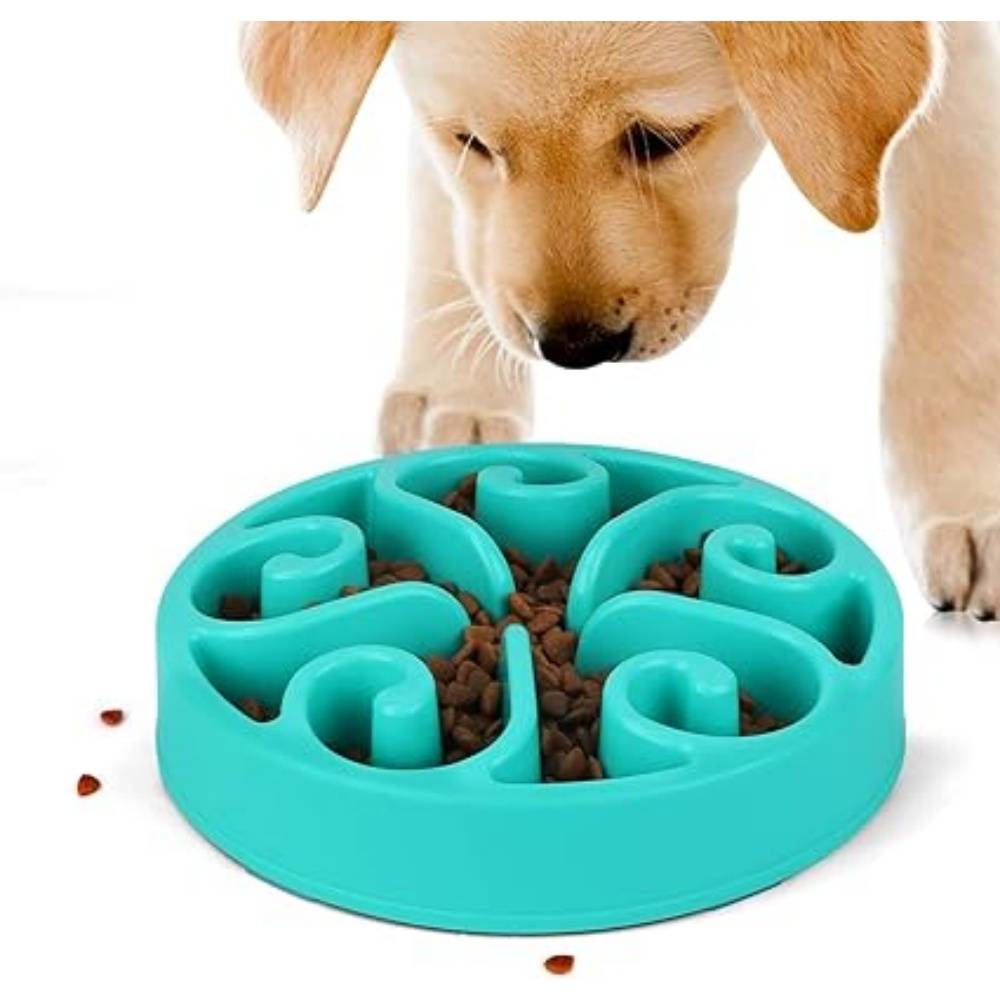 DtopbuyAge - Gamelle Anti Glouton Bleu Plateau Interactif Pour Animaux Compagnie - Image 5
