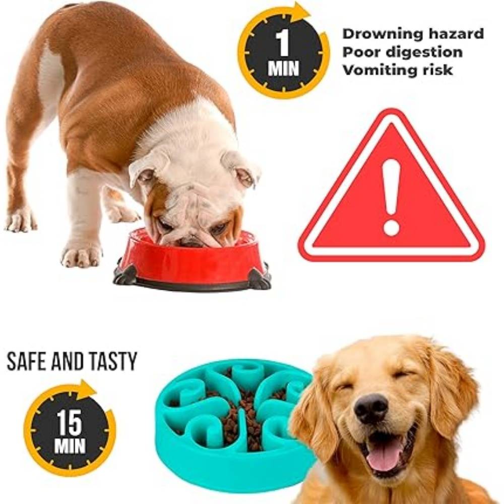 DtopbuyAge - Gamelle Anti Glouton Bleu Plateau Interactif Pour Animaux Compagnie - Image 2