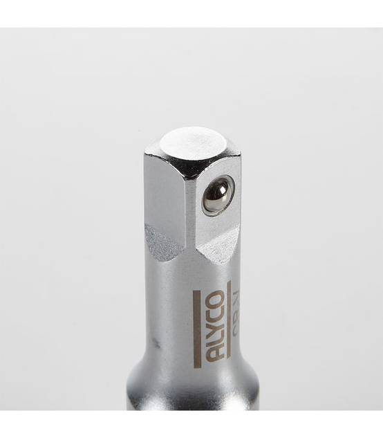 Rallonge 1/2 250 mm ALYCO 192358 - Jardiland