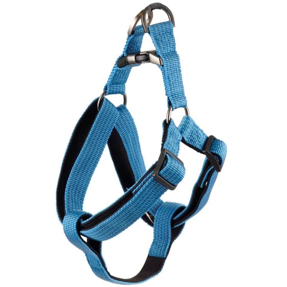 Flamingo - Harnais Jannu bleu taille XL 60-90 cm 25 mm pour chien - Imagen 1