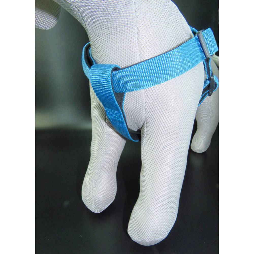 Flamingo - Harnais Jannu bleu taille XL 60-90 cm 25 mm pour chien - Imagen 7